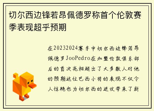 切尔西边锋若昂佩德罗称首个伦敦赛季表现超乎预期